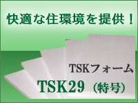 TSK 29
